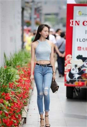 磁力狗搜索引擎地址