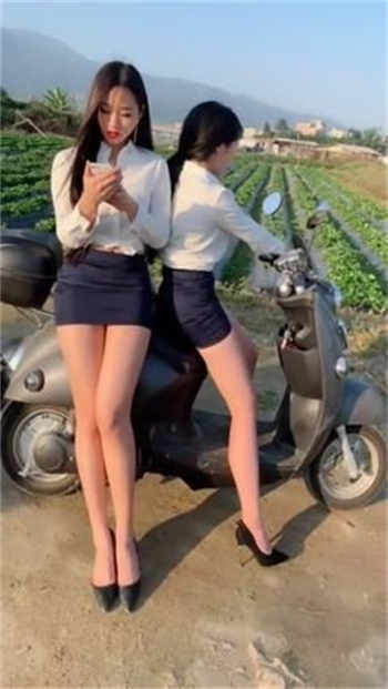 陆少的心尖宠