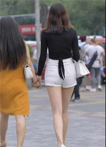 gal网站推荐