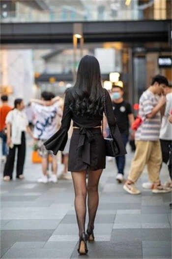 豪门小子猎美后宫
