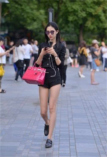 十全禁用免费app无需登录