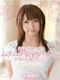 脸肿汉化组本子